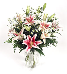 Stargazer Lilies from Bunn Flowers & Gifts, local florist in Pittsburg, TX