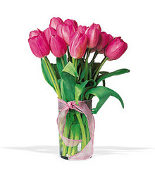 10 pink tulips in a vase from Bunn Flowers & Gifts, local florist in Pittsburg, TX